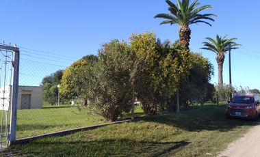 Casa de Campo y 2 Has - Ideal Fin de Semana - Emprendimientos- en Victoria Entre Ríos