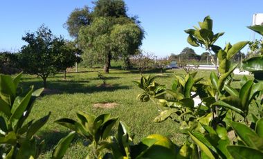 Casa de Campo y 2 Has - Ideal Fin de Semana - Emprendimientos- en Victoria Entre Ríos