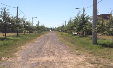 VENTA TERRENO BARRIO LAS CASUARINAS IBARLUCEA