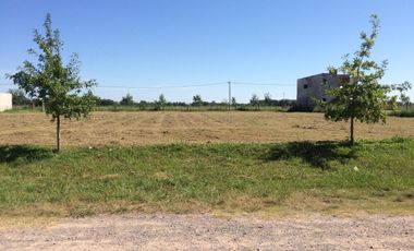 VENTA TERRENO BARRIO LAS CASUARINAS IBARLUCEA