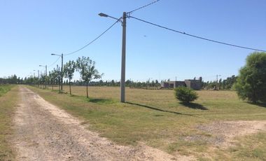 VENTA TERRENO BARRIO LAS CASUARINAS IBARLUCEA