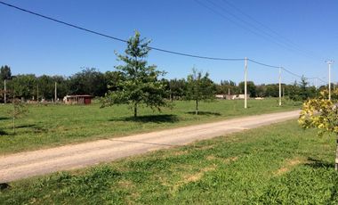 VENTA TERRENO BARRIO LAS CASUARINAS IBARLUCEA