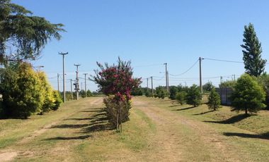 VENTA TERRENO BARRIO LAS CASUARINAS IBARLUCEA