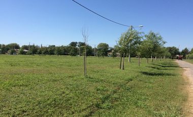 VENTA TERRENO BARRIO LAS CASUARINAS IBARLUCEA