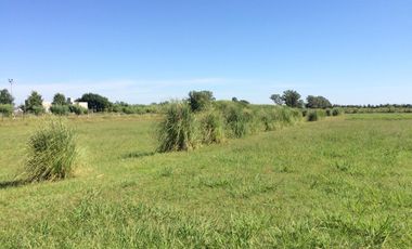 VENTA TERRENO BARRIO LAS CASUARINAS IBARLUCEA