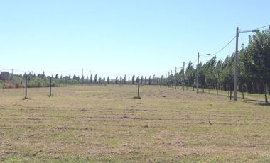 VENTA TERRENO BARRIO LAS CASUARINAS IBARLUCEA