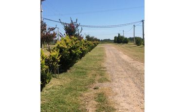 VENTA TERRENO BARRIO LAS CASUARINAS IBARLUCEA