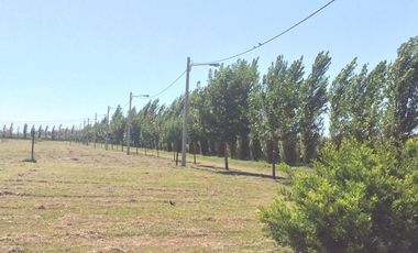 VENTA TERRENO BARRIO LAS CASUARINAS IBARLUCEA