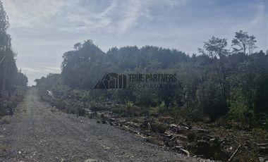 Parcela en Venta en Chamiza. Loteo Los Alerces de Lauca