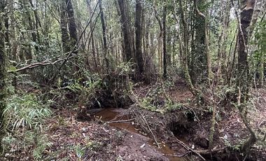 Parcela en Venta en Chamiza. Loteo Los Alerces de Lauca