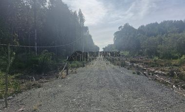 Parcela en Venta en Chamiza. Loteo Los Alerces de Lauca