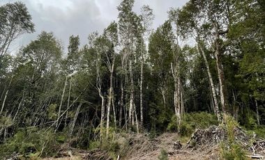 Parcela en Venta en Chamiza. Loteo Los Alerces de Lauca