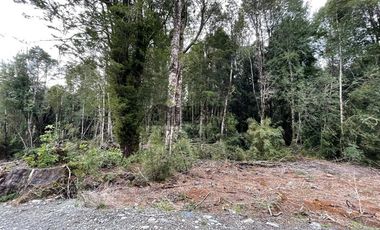 Parcela en Venta en Chamiza. Loteo Los Alerces de Lauca