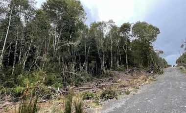 Parcela en Venta en Chamiza. Loteo Los Alerces de Lauca