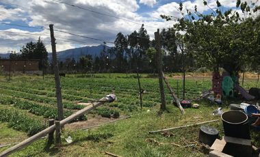 TERRENO EN VENTA- TABABELA 7228M2