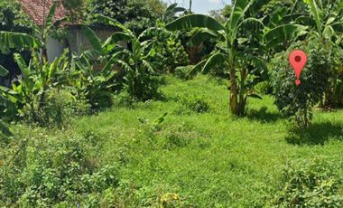 Jual Tanah Jalan Garuda Pare Kediri dekat Kampung Inggris