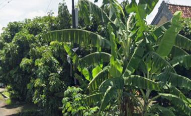 Jual Tanah Jalan Garuda Pare Kediri dekat Kampung Inggris