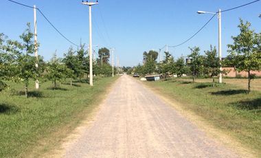 VENTA TERRENO 61 BARRIO LAS CASUARINAS IBARLUCEA