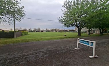 VENTA TERRENO 61 BARRIO LAS CASUARINAS IBARLUCEA