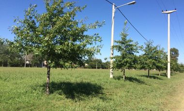 VENTA TERRENO 61 BARRIO LAS CASUARINAS IBARLUCEA