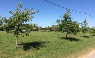 VENTA TERRENO 61 BARRIO LAS CASUARINAS IBARLUCEA