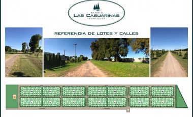 Terreno - Venta - Excelente ubicación dentro del barrio - Las Casuarinas LOTE 46