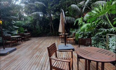 Renta amueblado en Magno Reforma: Lujo, Exclusividad y Ubicación Inigualable