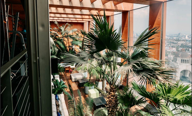 Renta amueblado en Magno Reforma: Lujo, Exclusividad y Ubicación Inigualable