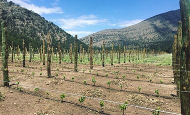 Terreno Residencial, Terra Serena, Arteaga, Coahuila