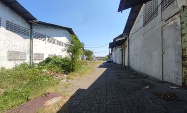 Disewakan Gudang Tambak Sawah Waru Sidoarjo Dekat Bandara Juanda