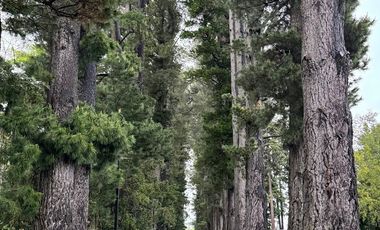 Oportunidad!!! Vendo Moderno Departamento en exclusivo Condominio en Pucón, 2D1B Amoblado