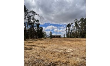 ARRIENDA EN LITUECHE!!! Parcela con casa amoblada en arriendo