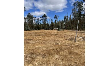 ARRIENDA EN LITUECHE!!! Parcela con casa amoblada en arriendo