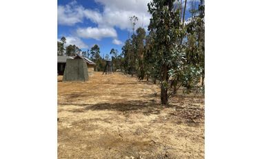 ARRIENDA EN LITUECHE!!! Parcela con casa amoblada en arriendo