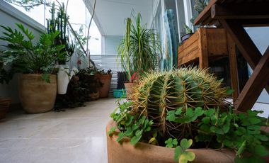 Departamento en Renta Cima Real 100, Zapopan , Jalisco