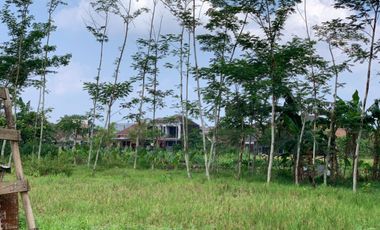 JUAL TANAH KOSONG STRATEGIS DI PURWOKERTO UNTUK BERTANI, BERKEBUN, dll