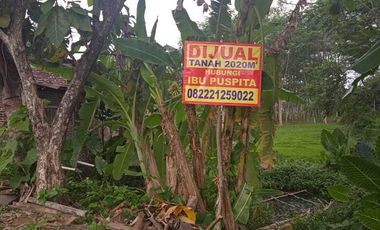 JUAL TANAH KOSONG STRATEGIS DI PURWOKERTO UNTUK BERTANI, BERKEBUN, dll