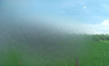 TANAH SAWAH (AJB) DI DESA SUMBERGEDE, WRINGINANOM, GRESIK