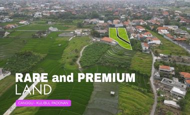 DIJUAL CEPAT TANAH KAVLING LOKASI CANGGU - KULIBUL PADONAN