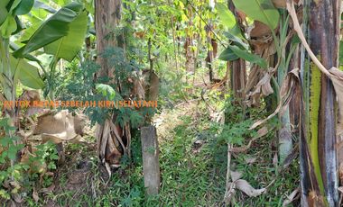 Tanah Ngaliyan Murah Butuh Uang