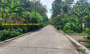 Tanah Ngaliyan Murah Butuh Uang