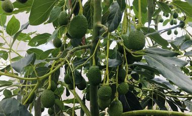 Casa en Guayllabamba