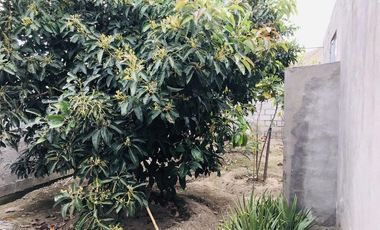 Casa en Guayllabamba