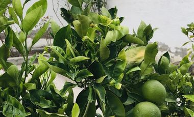 Casa en Guayllabamba