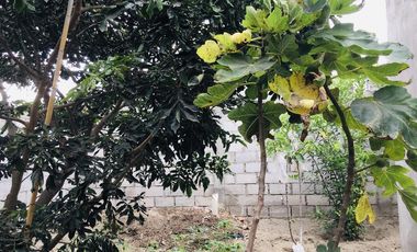 Casa en Guayllabamba