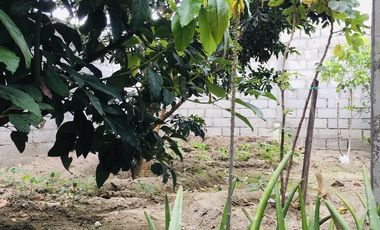 Casa en Guayllabamba