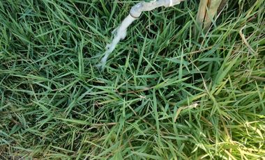 Parcela en venta en LONGAVÍ