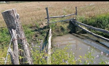 Parcela en venta en ÑIQUÉN
