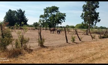 Parcela en venta en ÑIQUÉN