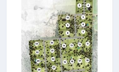 Parcela en Venta en Parcela Loteo Altos de Chamiza, camino Automó Km 11